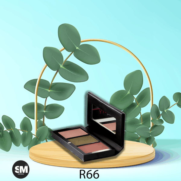 پالت سایه کیس بیوتی مدل R66