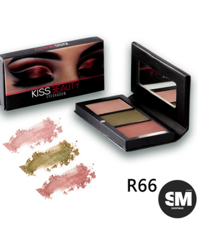 پالت سایه کیس بیوتی مدل R66