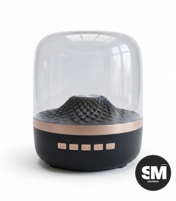 speaker