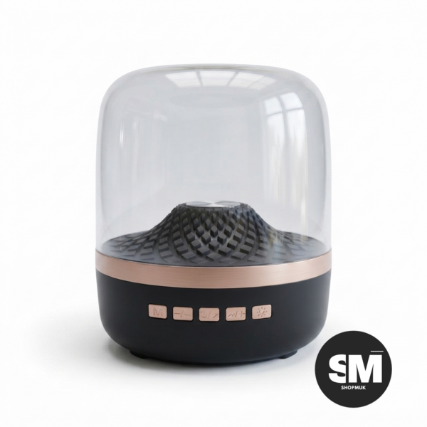 speaker